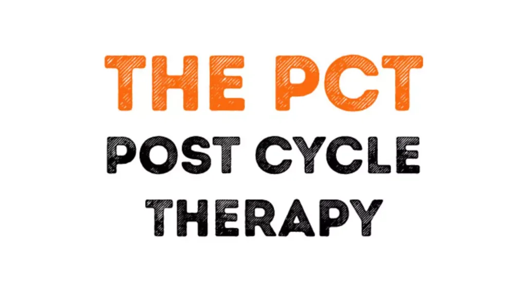 Post-Cycle Therapy (PCT) Explained