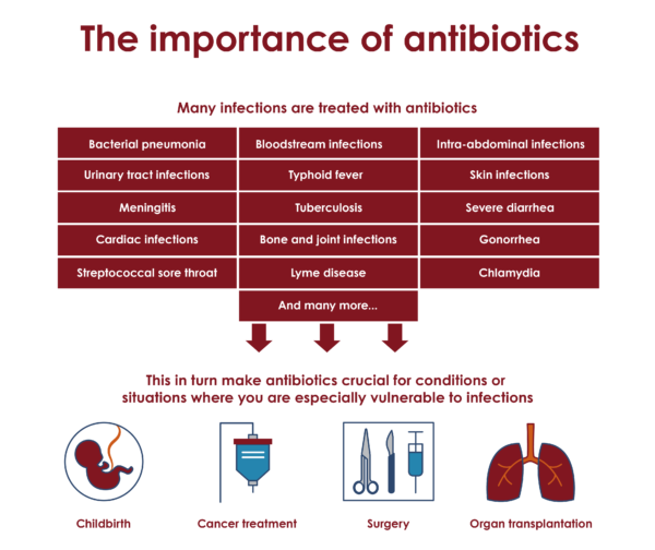 understanding antibiotics